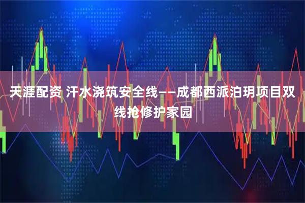 天涯配资 汗水浇筑安全线——成都西派泊玥项目双线抢修护家园