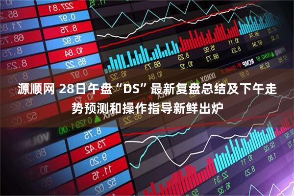 源顺网 28日午盘“DS”最新复盘总结及下午走势预测和操作指导新鲜出炉