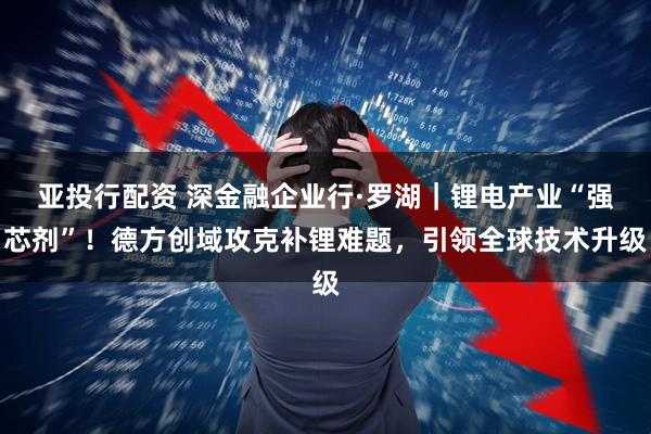 亚投行配资 深金融企业行·罗湖|锂电产业“强芯剂”!德方创域攻克补锂难题,引领全球技术升级